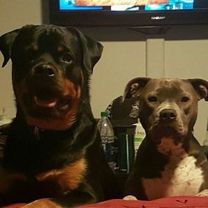 Meet your Posher, Jade